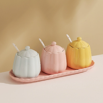 Creamy Ceramic Seasoning Jar Set of 4